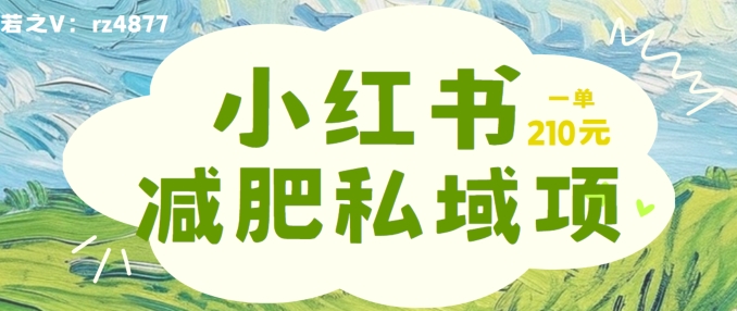 小红书减肥粉，私域变现项目，一单就达210元，小白也能轻松上手【揭秘】-米落轻创