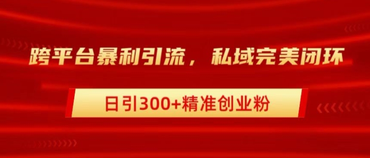 跨平台暴力引流，私域完美闭环，日引100+精准创业粉-米落轻创