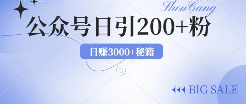 2024年用AI洗稿公众号日引流200+创业粉-米落轻创