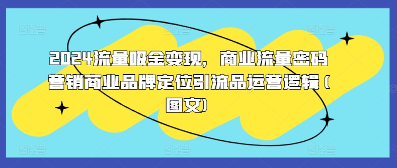 2024流量吸金变现，商业流量密码营销商业品牌定位引流品运营逻辑(图文)-米落轻创