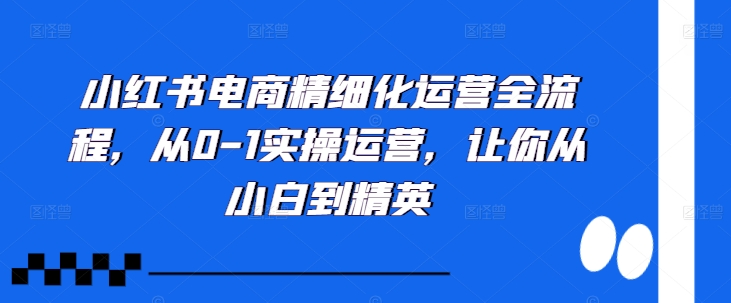 小红书电商精细化运营全流程，从0-1实操运营，让你从小白到精英-米落轻创