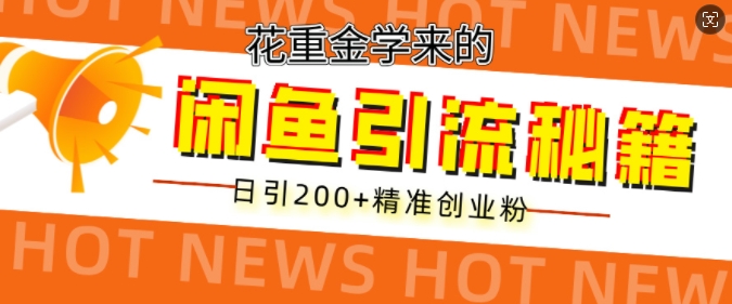 花重金学来的闲鱼到流秘籍，日引200+精准创业粉-米落轻创