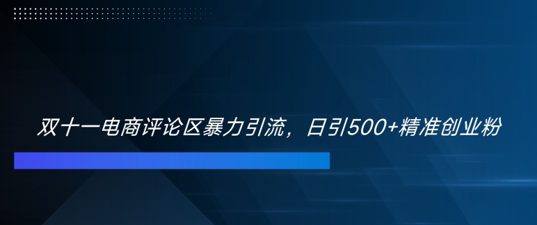 双十一电商评论区暴力引流，日引500+精准创业粉【揭秘】-米落轻创