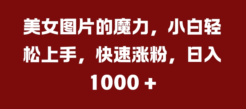 美女图片的魔力，小白轻松上手，快速涨粉，日入几张【揭秘】-米落轻创