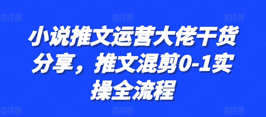 小说推文运营大佬干货分享，推文混剪0-1实操全流程-米落轻创